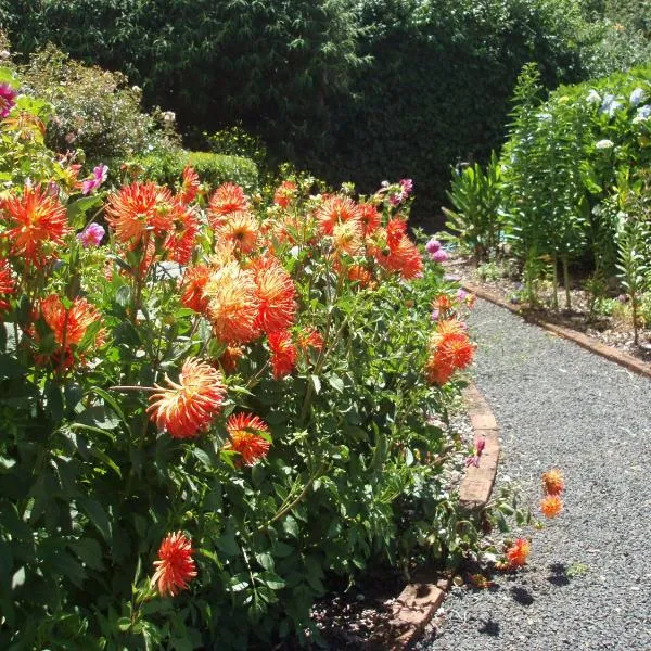 Boat Harbour Garden Cottages、ボート・ハーバーのホテル