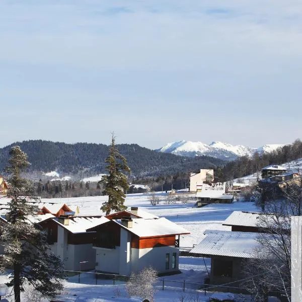 ORBI Palace Deluxe, hotel i Bakuriani