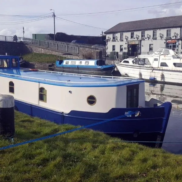 Roisin Dubh Houseboat, hotel in Sallins