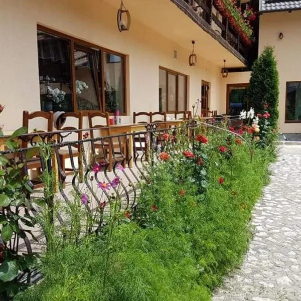 Pension Steaua Ariesului, hótel í Albac