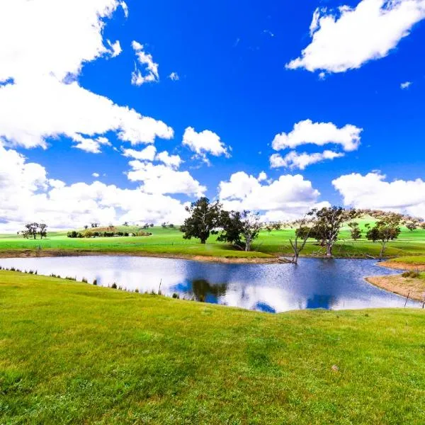 Hillview Farmstay, hôtel à Gundagai