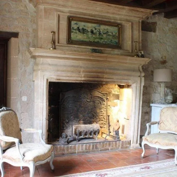 Manoir de la Foulquetiere, hotel in Luçay-le-Mâle