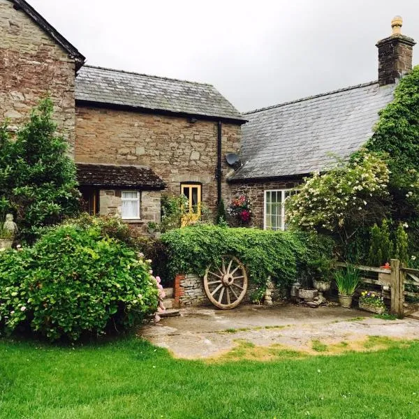 The Draen Bed and Breakfast, hótel í Lower Chapel