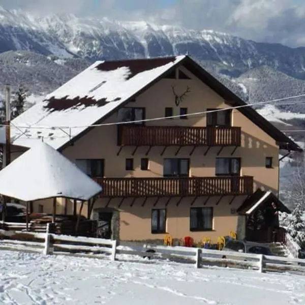 Pensiunea Edera, hotel v destinaci Fundata