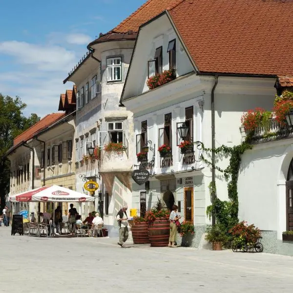 Pension Lectar, hotel v destinaci Radovljica