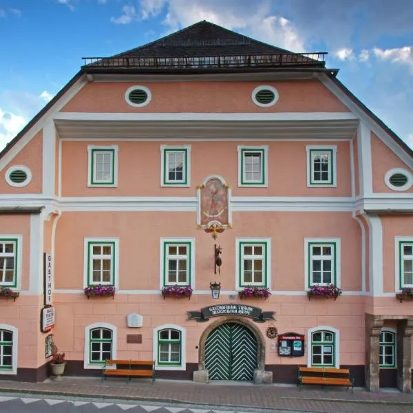 Blaue Traube, hotel v destinácii Bad Aussee