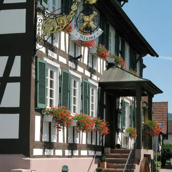 Gasthof Blume, hotel v destinaci Offenburg