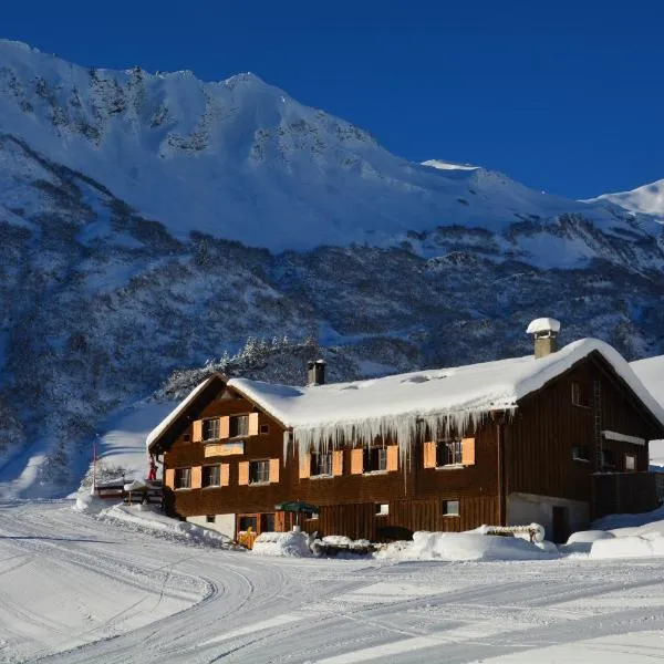 Alm – Chalet Domig, hotel in Damuls