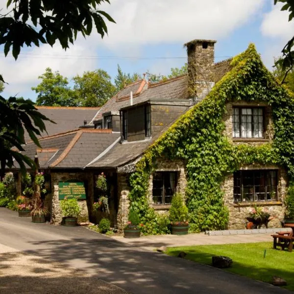 Lakeview Manor、Dunkeswellのホテル