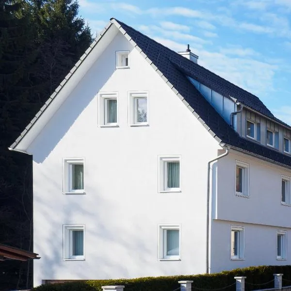 Haus am Fluss, hotel in Baiersbronn