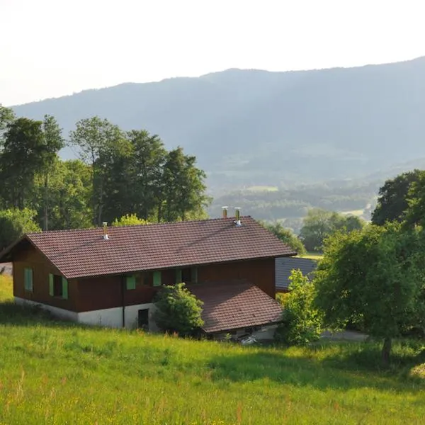 Le Green Chalet, hotel in Villard-sur-Boëge