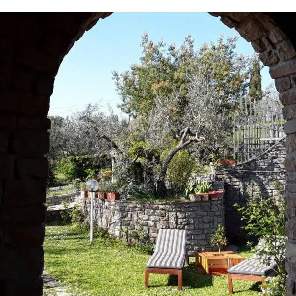 La collina degli olivi, hotel v destinaci Carmignano