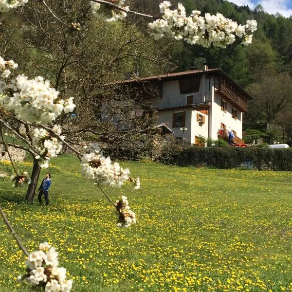 B&B Maso Zont Antico Maso, hotel di Vignola