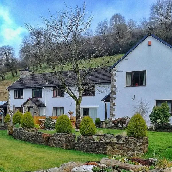 Neuadd Wen Guest House, hotel in Cwm-Duad