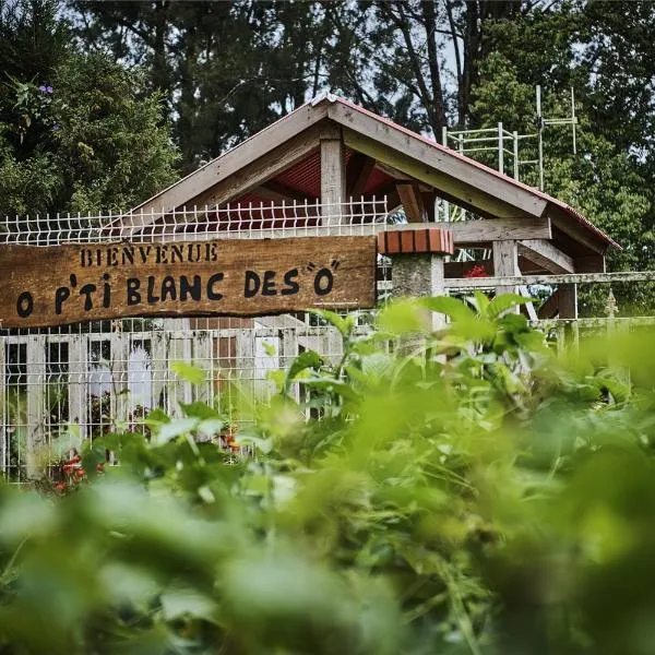 le p'ti blanc des "o", hotel v destinaci Salazie