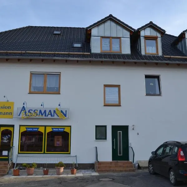 Pension Assmann, hotel a Geisenfeld