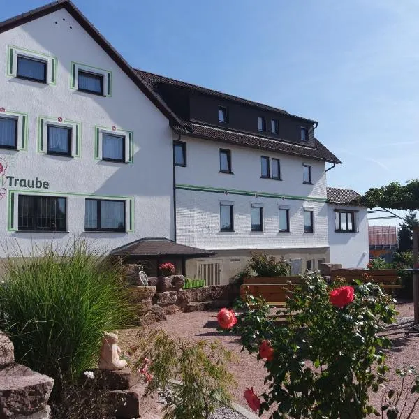 Landhotel Traube, hotel in Schönegründ