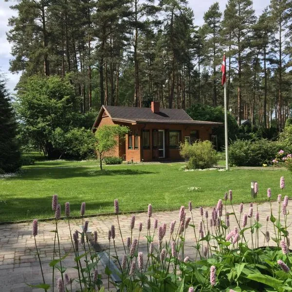 Forest house with outdoor hot tub, hotel in Bigauņciems