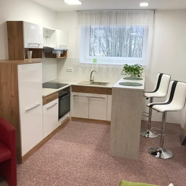 Apartmans Les, готель у місті Vlčková