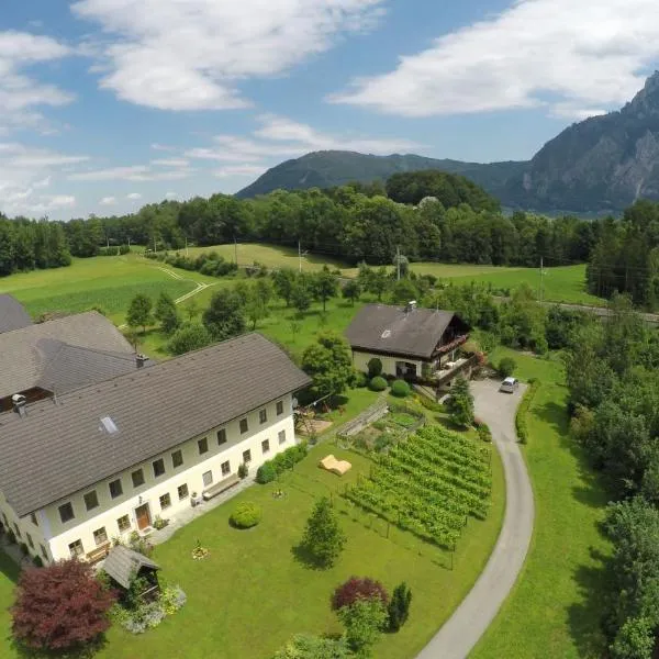Bauernhof "Unteres Feld", hotel v destinaci Altmünster