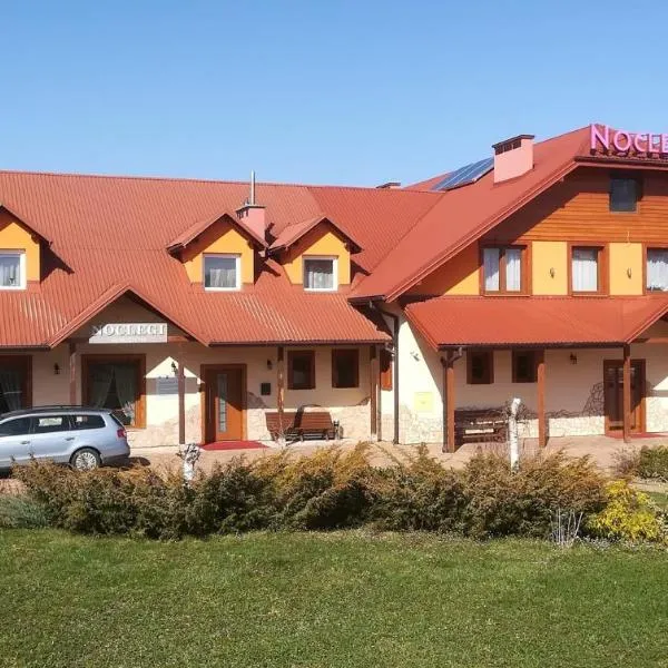 Nocleg Hotel Nad Stawami、Czermnaのホテル