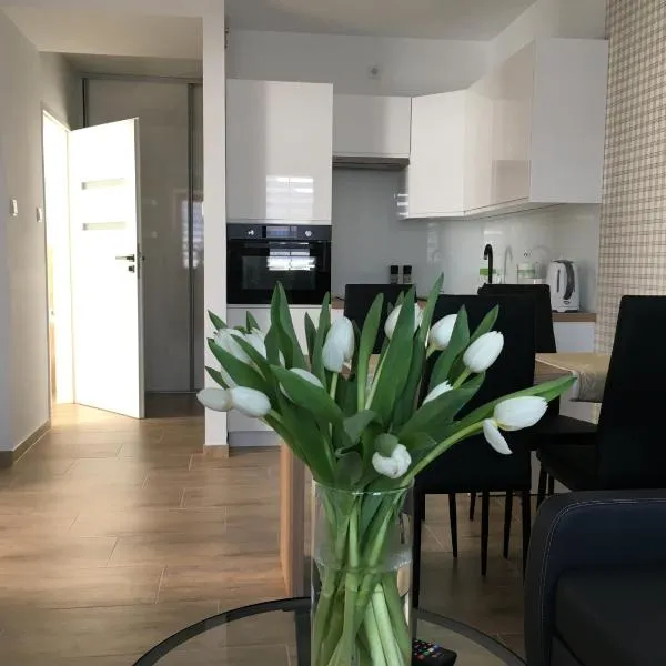 Apartamenty AP 8, hótel í Pierzchno