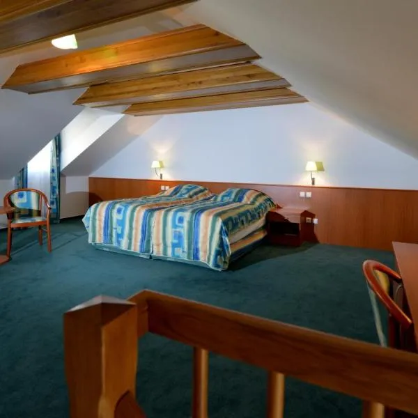 Hotel Dvorak, hotel v Českých Budějovicích