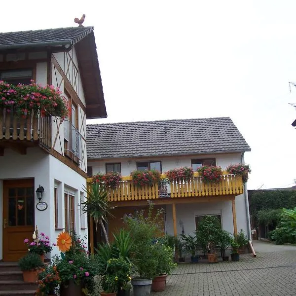 Meyerhof, hotel in Meißenheim