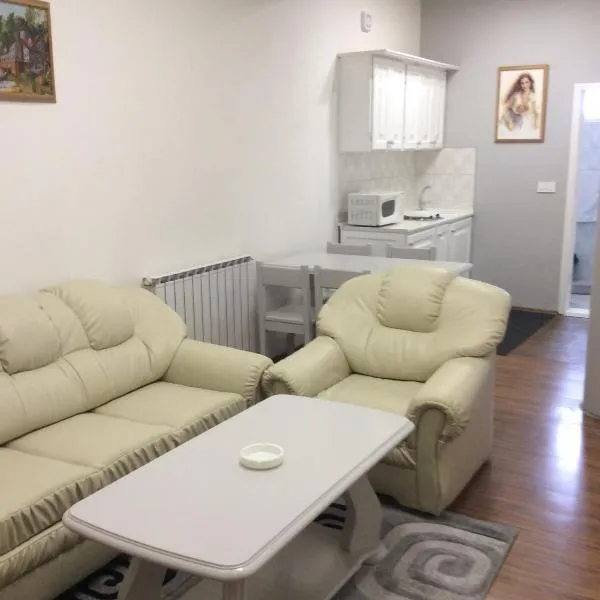 Apartman br 4, hotel in Novo Selo