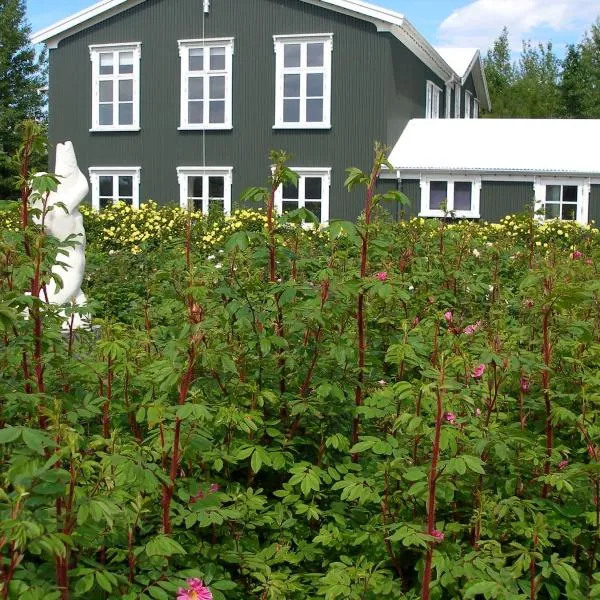 Ásaskóli, hotel in Leirubakki