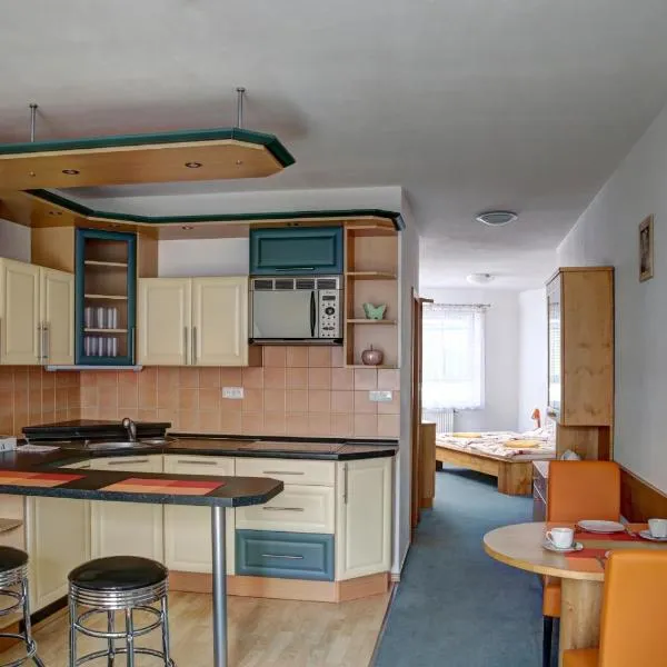 Vila Dům Evropa, hotel v destinaci Třeboň