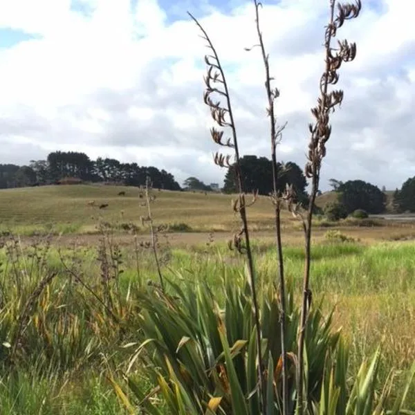 Entabeni, hotel a Raglan