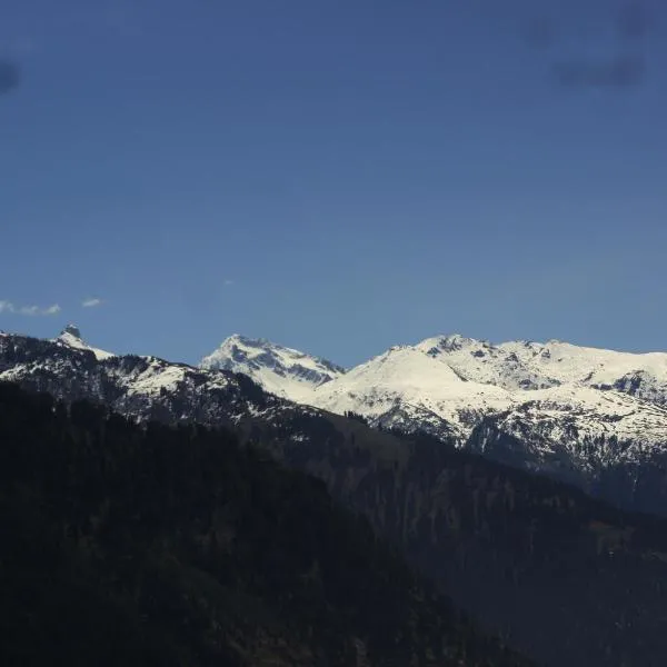 Timberwolves Manali photo 2