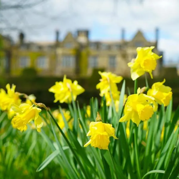 Gisborough Hall Hotel, hotel en Guisborough