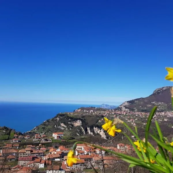 B&B Villa Reginella, hotelli kohteessa Agerola