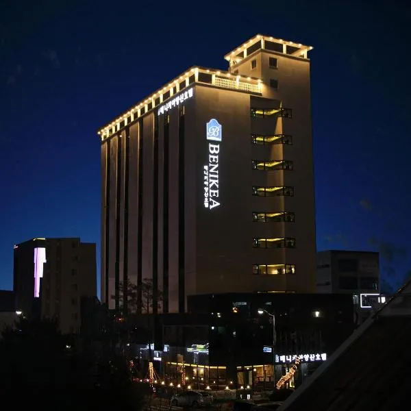 Benikea Hotel Yangsan, hotel i Yangsan