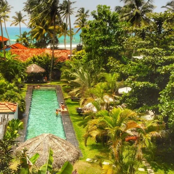 Turtle Eco Beach、マータラのホテル