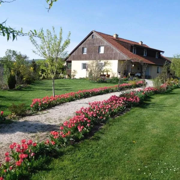 Apartment Boroví, hotel in Karlštejn