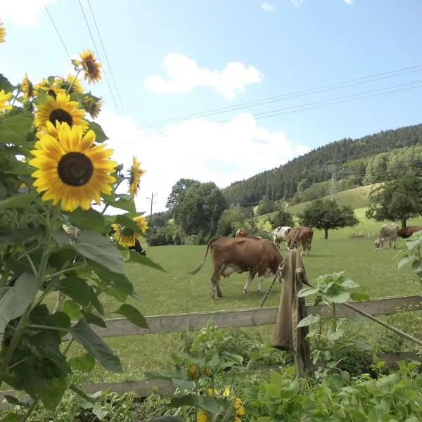 Urlaub auf dem Hänslehof, hotel v destinaci Elzach