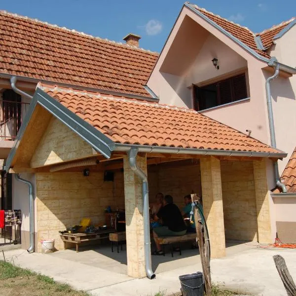 Vila Ljubomir - Srebrno Jezero, hotel v destinaci Kisiljevo