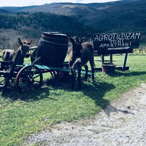 Agroturizam Toni: Motovun şehrinde bir otel