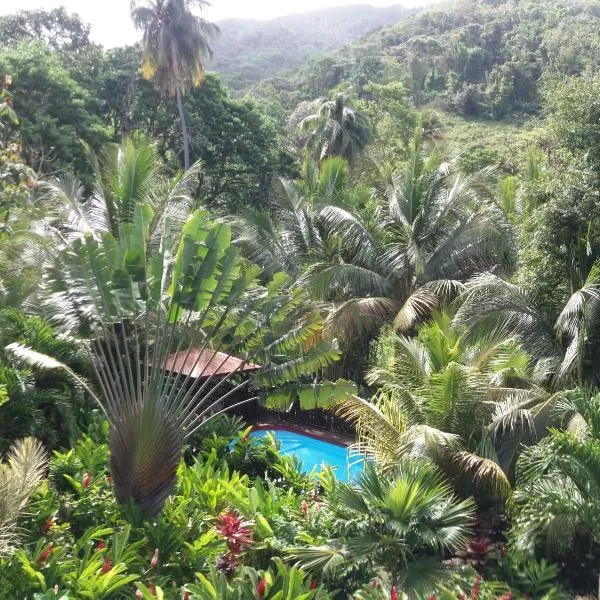 Ti Plèn Kréol, hotel v destinaci Pointe-Noire