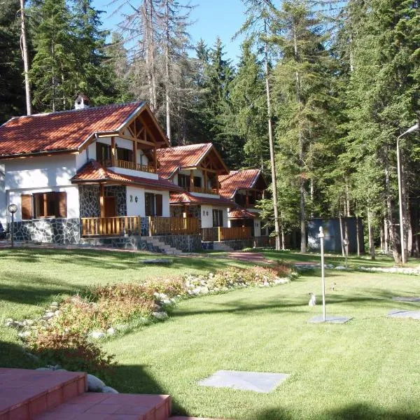 Saint George Holiday Village, hotel i Borovets
