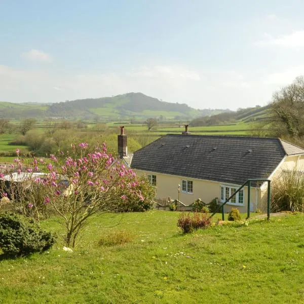 Bryn Hebog, hotel in Llanarthney