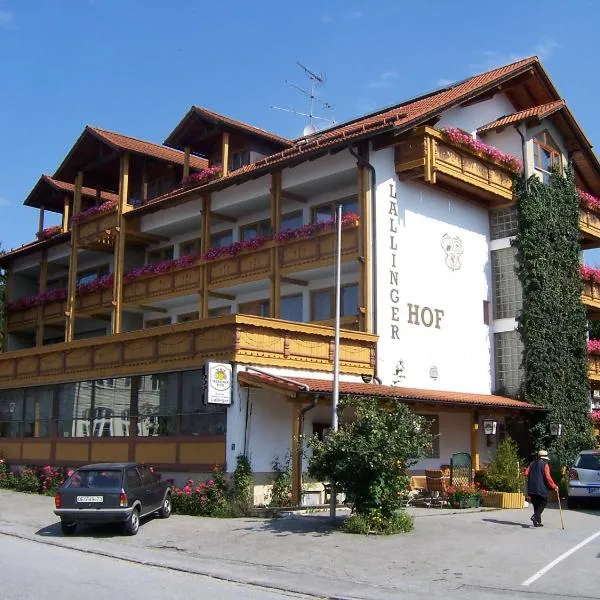 Lallinger Hof, hotel in Schöfweg