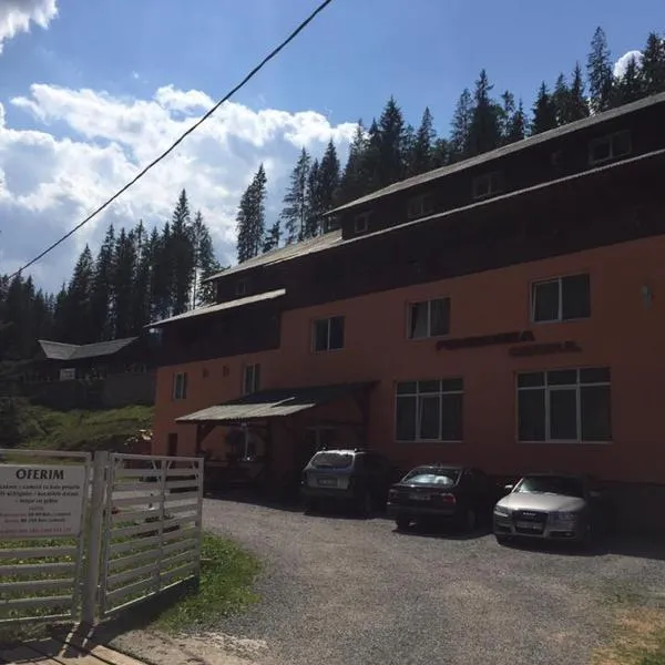 Pensiunea Cerbul, hotel v destinaci Lacu Rosu