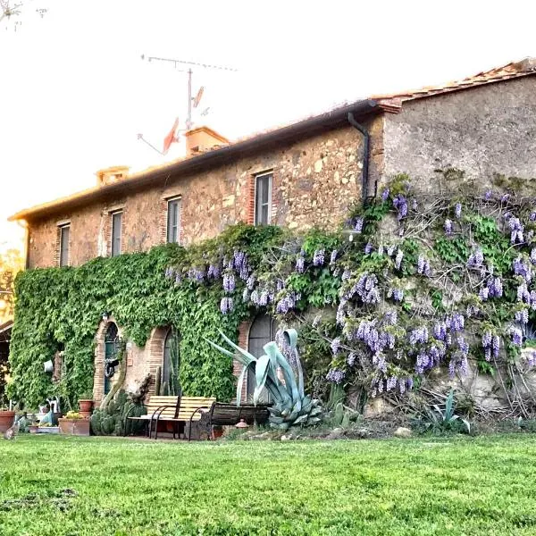 Agriturismo La Leccia, hotel Bibbonában