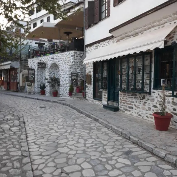 Mansion Theodora, hotel v destinaci Makrinítsa