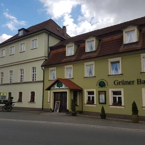 Traditionsgasthof Grüner Baum, hotel in Schottenstein
