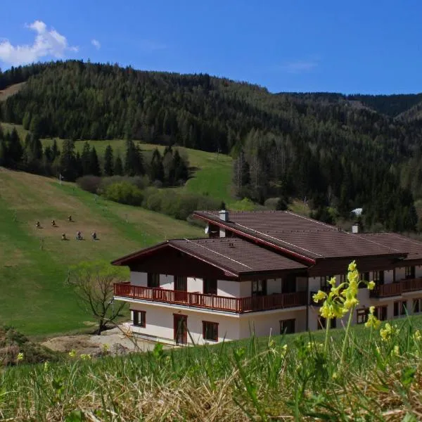 Hotel Studničky, hotel in Vikartovce